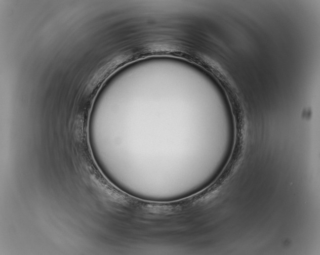 X0000112040825200908241600