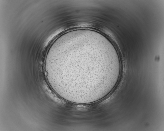 X0000112040827200908241600