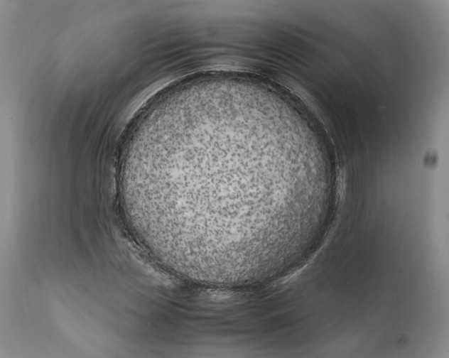 X0000112040829200908241600