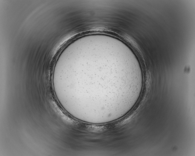 X0000112040831200908241600