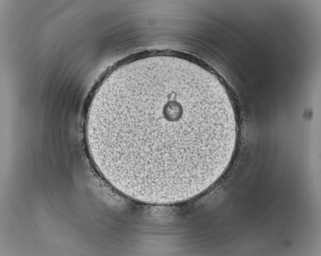 X0000112040832200908241600