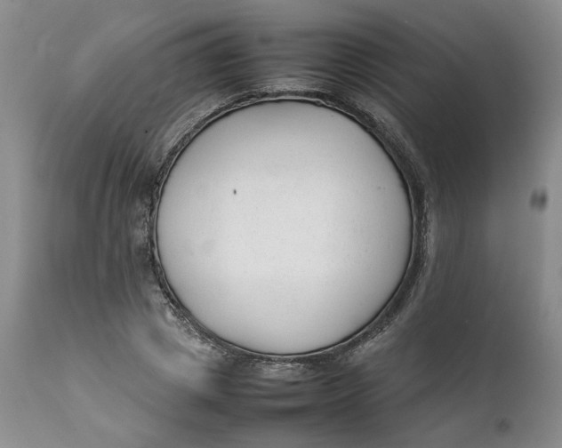 X0000112040833200908241600