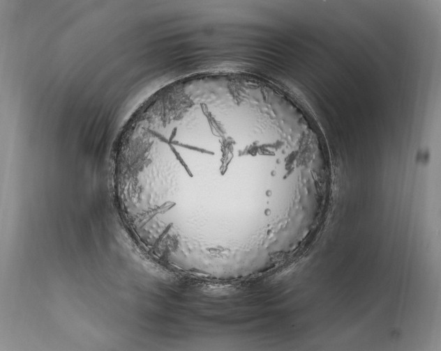 X0000112040835200908241600