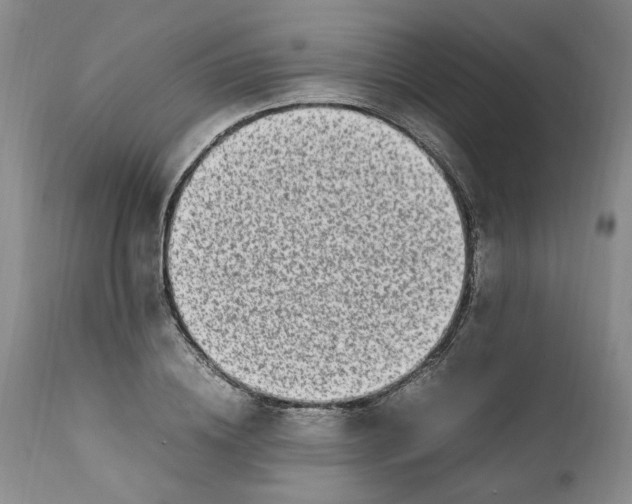 X0000112040836200908241600