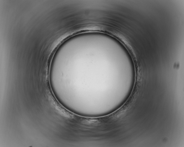 X0000112040837200908241600