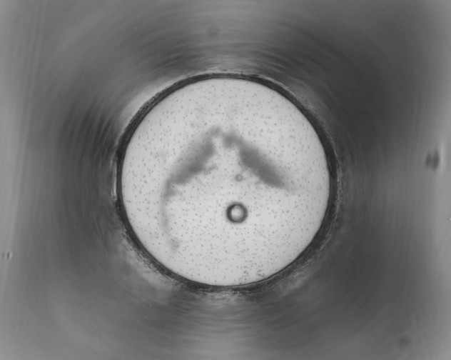 X0000112040838200908241600