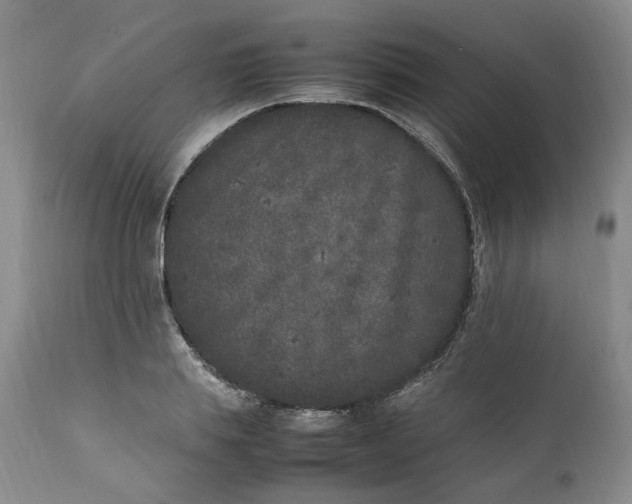 X0000112040839200908241600