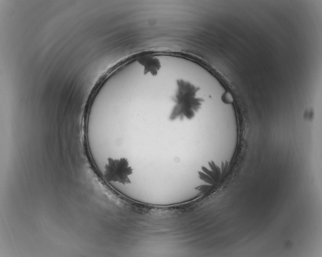 X0000112040840200908241600