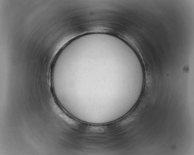 X0000112040843200908241600