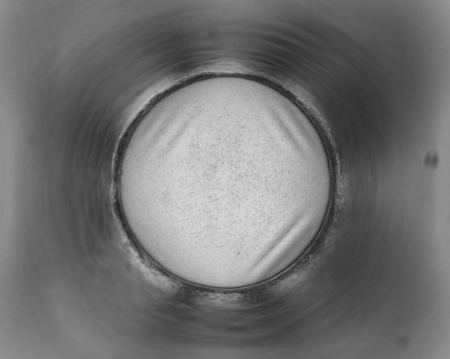 X0000112040845200908241600