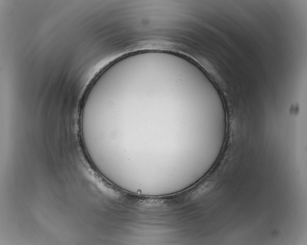 X0000112040846200908241600