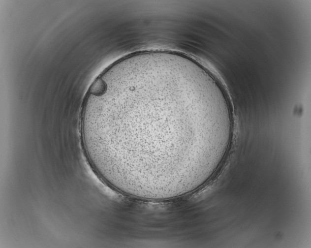 X0000112040847200908241600