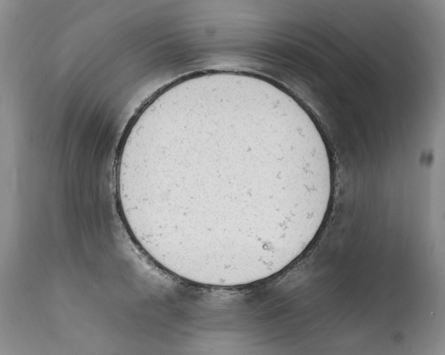 X0000112040848200908241600