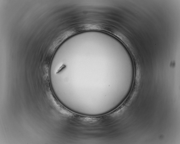 X0000112040849200908241600