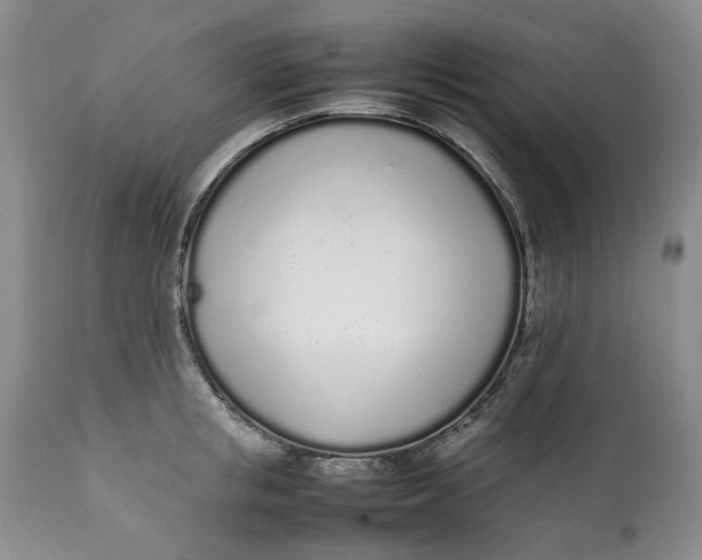 X0000112040853200908241600