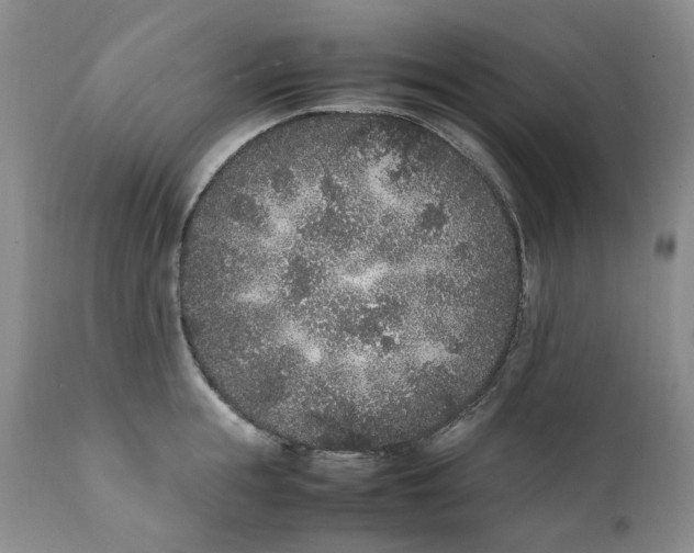 X0000112040855200908241600