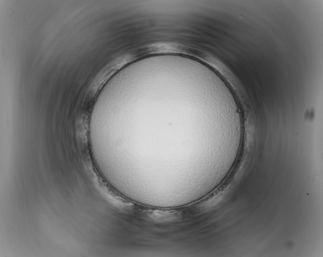 X0000112040857200908241600