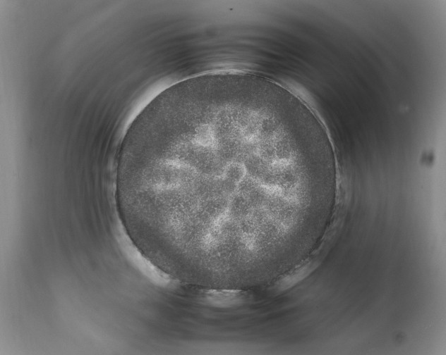 X0000112040859200908241600