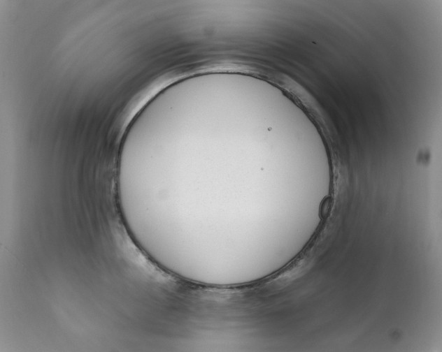 X0000112040860200908241600