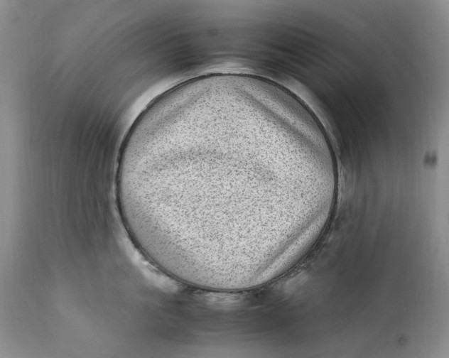 X0000112040861200908241600