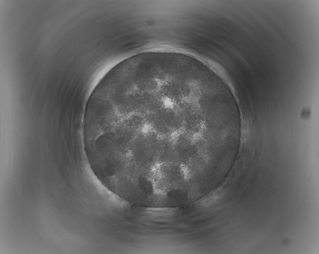 X0000112040863200908241600