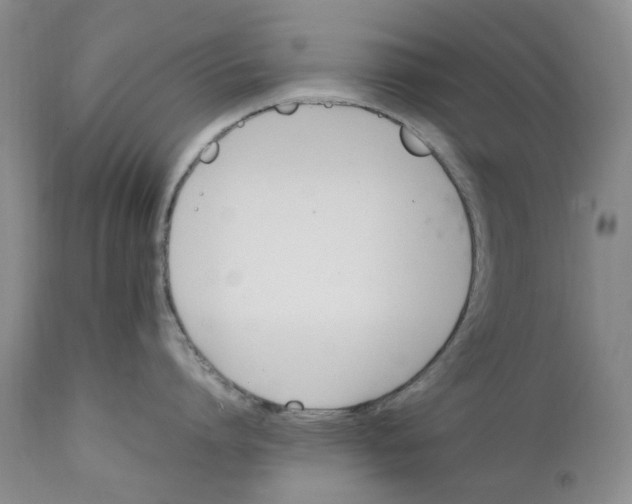 X0000112040864200908241601