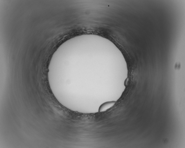 X0000112040865200908241600