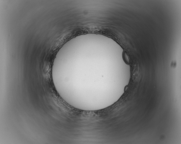 X0000112040866200908241600