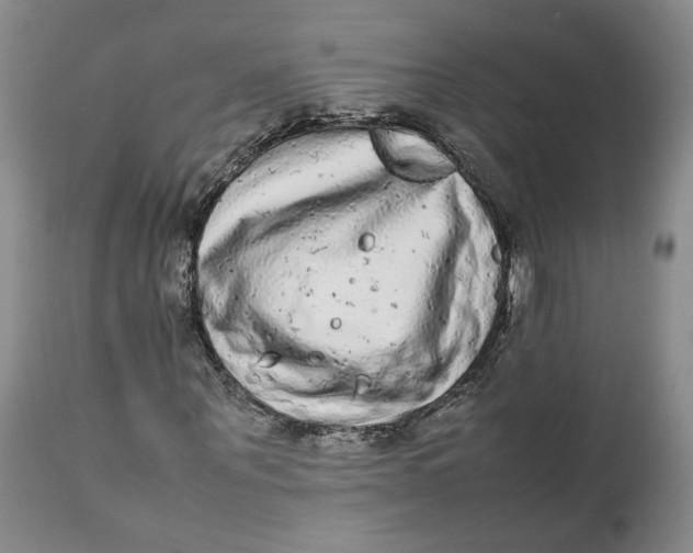 X0000112040867200908241600