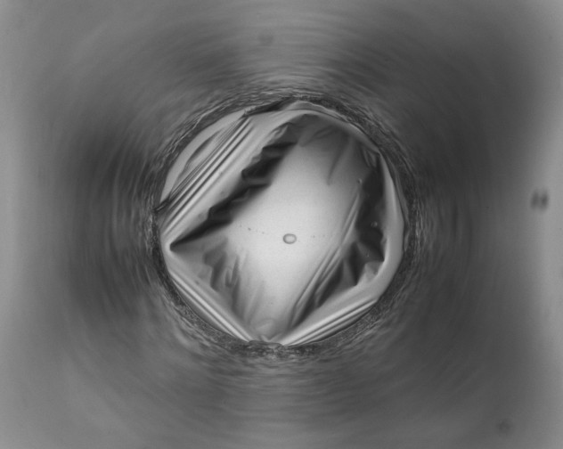 X0000112040868200908241600