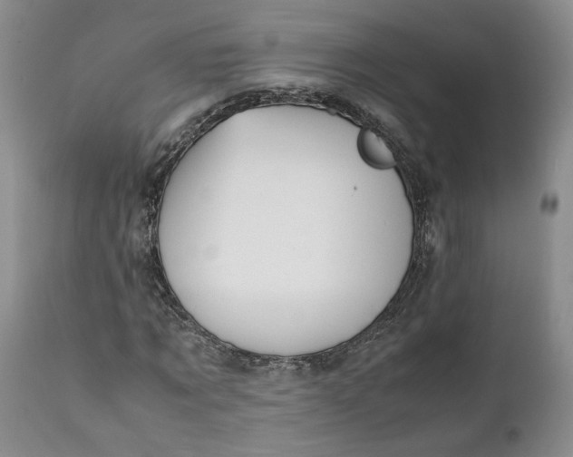 X0000112040869200908241600