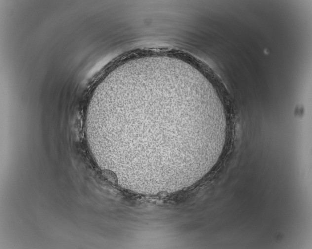 X0000112040871200908241600