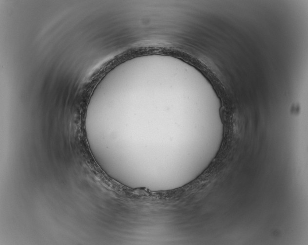 X0000112040872200908241559