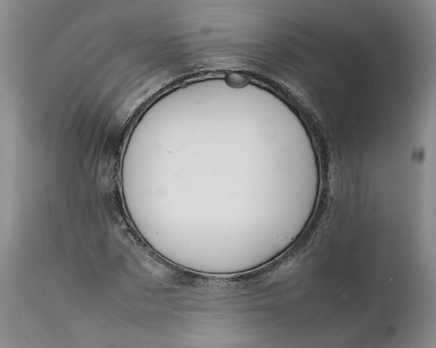 X0000112040873200908241559