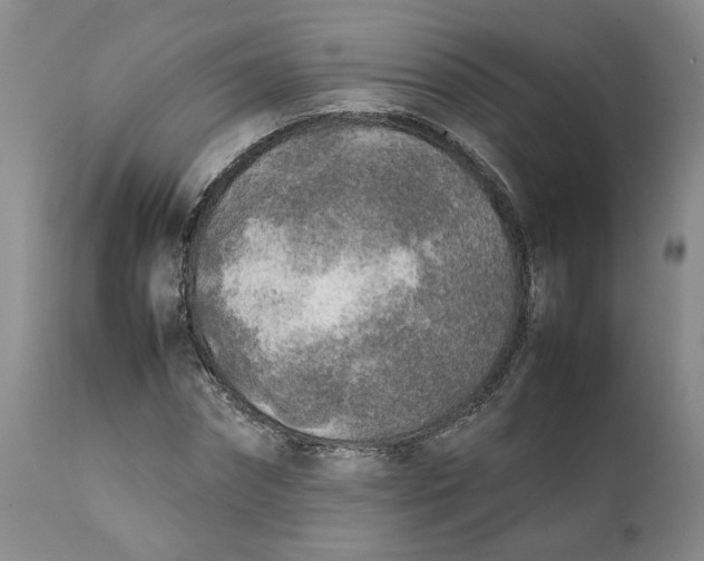 X0000112040874200908241559