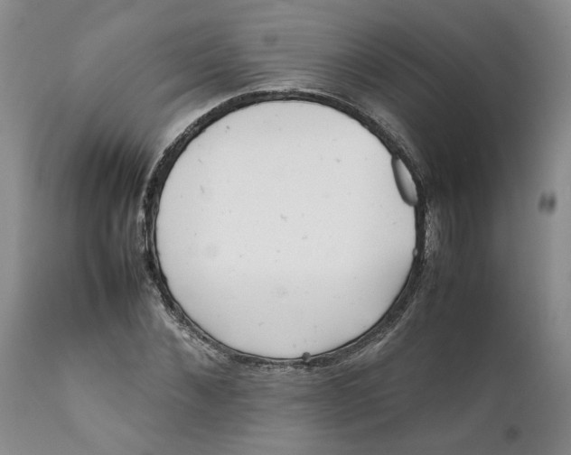 X0000112040876200908241559