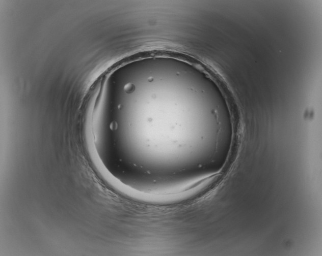 X0000112040877200908241559