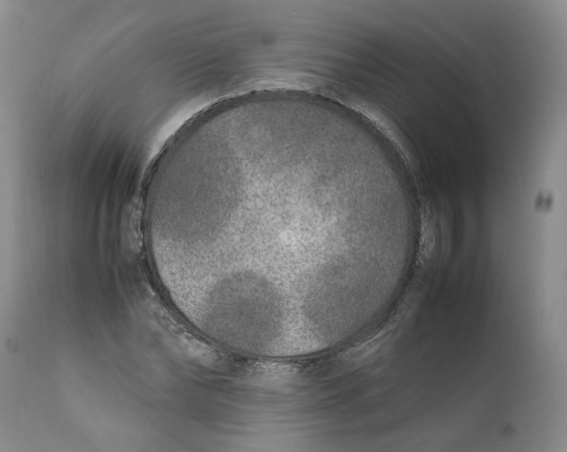 X0000112040878200908241559