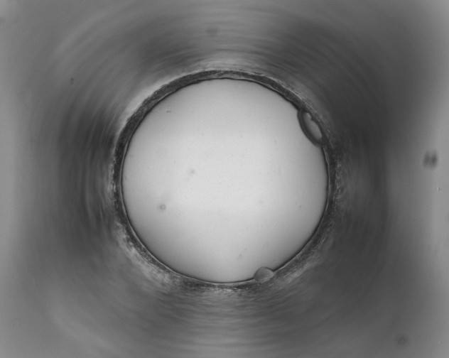 X0000112040880200908241559