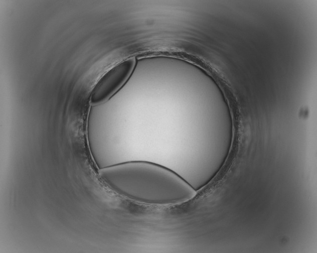 X0000112040881200908241559