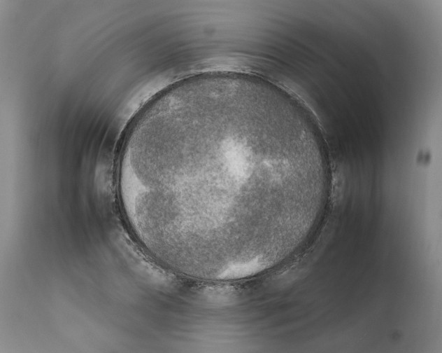 X0000112040882200908241559