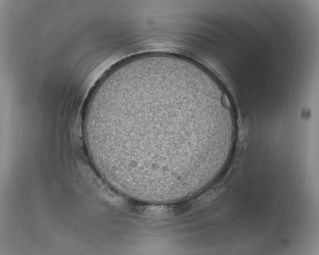 X0000112040883200908241559