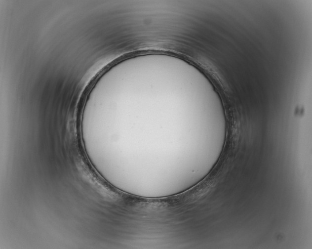 X0000112040884200908241559