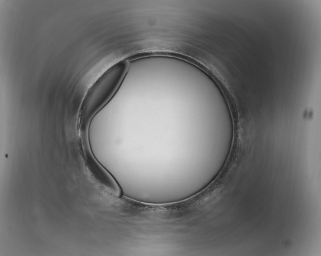 X0000112040885200908241559