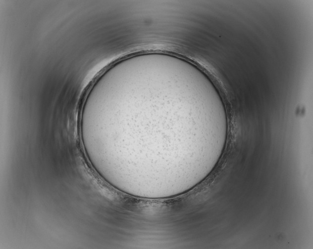 X0000112040886200908241559