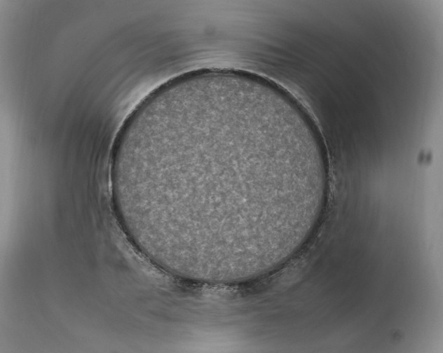 X0000112040887200908241559