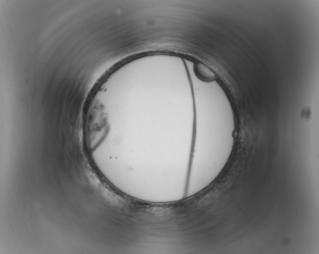 X0000112040888200908241559