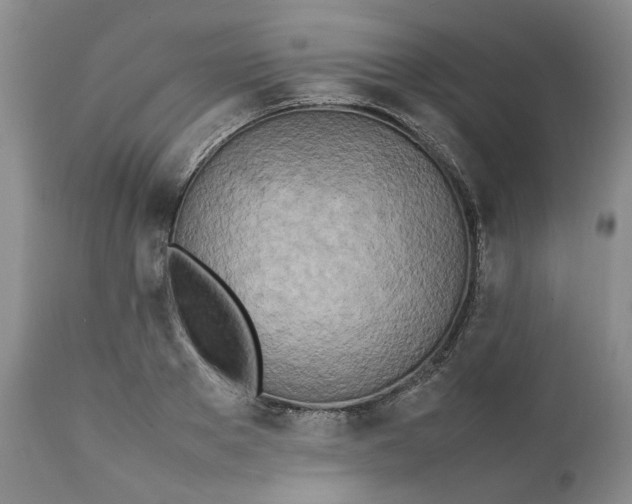 X0000112040889200908241559