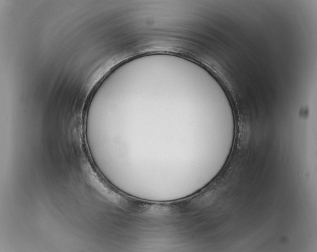 X0000112040890200908241559