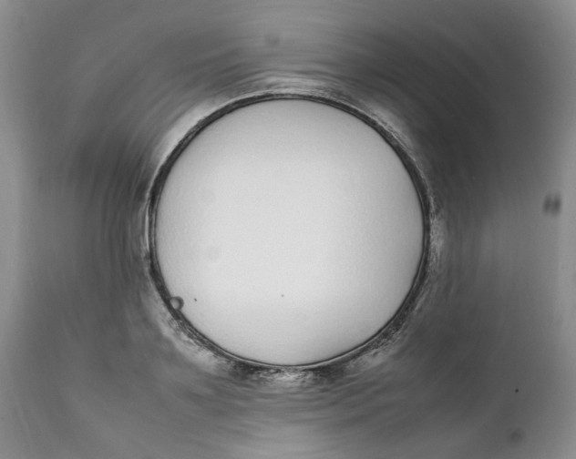 X0000112040891200908241559